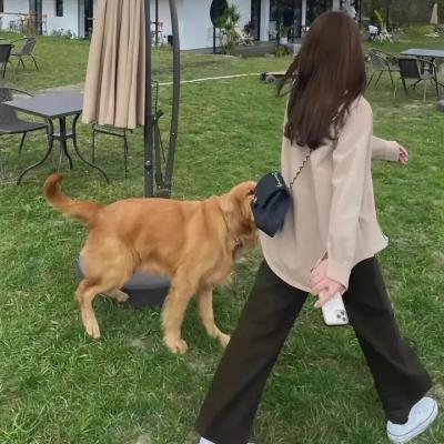 校园秘密档案